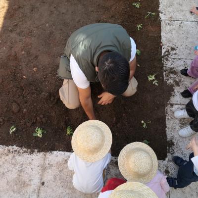 Img 20191106 113928