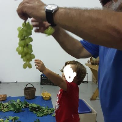 Img 20220930 010312
